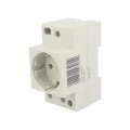 T-2P+Z SCHUKO P; F-type socket (Schuko); 230VAC; 10A; DIN; ETI POLAM