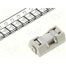 0154002.DRT; Fuse: fuse; time-lag; 2A; 125VAC; 125VDC; SMD; ceramic; 9,9x3,8x5mm; LITTELFUSE