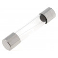 0313.010HXP; Fuse: fuse; time-lag; 10mA; 250VAC; cylindrical,glass; 6,3x32mm; LITTELFUSE