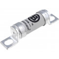 100FE; Fuse: fuse; ultra rapid; 100A; 690VAC; 500VDC; ceramic,industrial; BUSSMANN