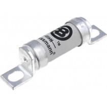100FE; Fuse: fuse; ultra rapid; 100A; 690VAC; 500VDC; ceramic,industrial; BUSSMANN