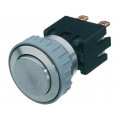 1241.6831.1120000; Switch: vandal resistant; Pos: 2; DPST-NO; 12A/250VAC; 0.5A/125VDC; SCHURTER
