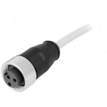 21349700393015; Plug; 7/8