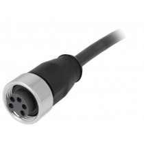 21349700598050; Plug; 7/8