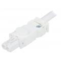 244356; Cab.accessories: power cable; cascade connection; Series: 025; STEGO 244356; Cab.accessories: power cable; cascade connection; Series: 025; STEGO