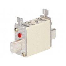 25NHG000B; Fuse: fuse; gG,gL; 25A; 500VAC; 250VDC; ceramic,industrial; NH000; BUSSMANN