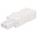 264057; Cab.accessories: female plug; Series: 025; Conform to: UL,VDE; STEGO 264057; Cab.accessories: female plug; Series: 025; Conform to: UL,VDE; STEGO