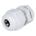 28410.0-00; Cab.accessories: pressure compensation device; Mat: plastic; STEGO 28410.0-00; Cab.accessories: pressure compensation device; Mat: plastic; STEGO