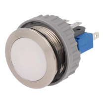 3-102-776; Switch: vandal resistant; Pos: 2; SPDT; 10A/250VAC; IP67; ON-(ON); SCHURTER