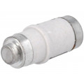 35NZ02R; Fuse: fuse; aR,quick blow; 35A; 400VAC; 250VDC; ceramic,industrial; BUSSMANN