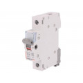 FR 301 32; Switch-disconnector; Poles: 1; DIN; 32A; 250VAC; FR300; IP20; LEGRAND