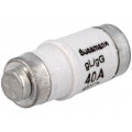 40NZ02; Fuse: fuse; 40A; 400VAC; 250VDC; ceramic,industrial; D02; BUSSMANN