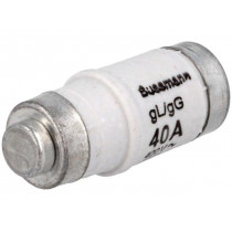 40NZ02; Fuse: fuse; 40A; 400VAC; 250VDC; ceramic,industrial; D02; BUSSMANN