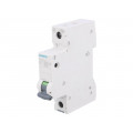 5SL6101-7; Circuit breaker; 230VAC; Inom: 1A; Poles: 1; DIN; Charact: C; 6kA; SIEMENS