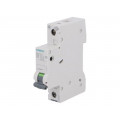 5SL6110-7; Circuit breaker; 230VAC; Inom: 10A; Poles: 1; DIN; Charact: C; 6kA; SIEMENS