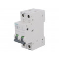 5SL6210-6; Circuit breaker; 400VAC; Inom: 10A; Poles: 2; DIN; Charact: B; 6kA; SIEMENS