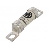 63FE; Fuse: fuse; ultra rapid; 63A; 690VAC; 500VDC; ceramic,industrial; BUSSMANN