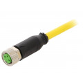 7000-08041-0300500; Connection lead; M8; PIN: 3; straight; 5m; plug; 60VAC; 4A; -40÷80°C; MURR ELEKTRONIK