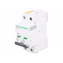 A9F04203; Circuit breaker; 400VAC; Inom: 3A; Poles: 2; DIN; Charact: C; 6kA; SCHNEIDER ELECTRIC