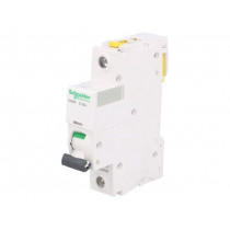 A9F05132; Circuit breaker; 230VAC; Inom: 32A; Poles: 1; DIN; Charact: D; 6kA; SCHNEIDER ELECTRIC