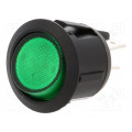 R13244BBG3; ROCKER; DPST; Pos: 2; OFF-ON; 10A/250VAC; green; neon lamp 230V; BULGIN