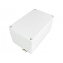 EX RJ10; Enclosure: multipurpose; X: 100mm; Y: 160mm; Z: 81mm; ATEX; aluminium; RAYCHEM RPG