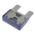 MAXIVAL 100A; Fuse: fuse; 100A; 32V; automotive; 29mm; MTA MAXIVAL 100A; Fuse: fuse; 100A; 32V; automotive; 29mm; MTA