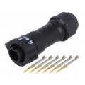 BD-06BFMA-QL8MP0; Connector: circular; male; plug; crimped; PIN: 6; 22AWG÷20AWG; IP68; AMPHENOL BD-06BFMA-QL8MP0; Connector: circular; male; plug; crimped; PIN: 6; 22AWG÷20AWG; IP68; AMPHENOL