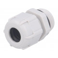 4011; Cable gland; PG11; IP68; Mat: polyamide; grey; UL94V-2; BM GROUP