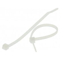 BMB1025; Cable tie; L: 100mm; W: 2.5mm; polyamide; 80N; natural; Ømax: 22mm; BM GROUP