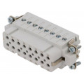 C146 10B016 004 4; Connector: HDC; contact insert; female; C146; PIN: 16; 16+PE; 14A; AMPHENOL