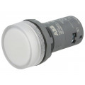 1SFA619403R5028; Control lamp; 22mm; CL2; -25÷70°C; Illumin: LED; Ø22mm; 24VAC; 24VDC; ABB
