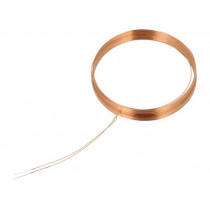 CP-120UH-ID30; RFID antenna; 125kHz; Øout: 31mm; Øint: 30mm; H: 5mm; 120uH; SR PASSIVES