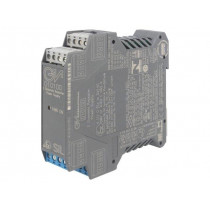 D1010D; Converter: RS422/RS485 separator-power supply; DIN; 0/4÷20mA; GM INTERNATIONAL