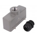 D24B-TE-4G-PG21; Enclosure: for HDC connectors; size D24B; for cable; straight; DEGSON ELECTRONICS