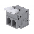 DG242V-5.0-02P-11-00AH; PCB terminal block; straight; 5mm; ways: 2; on PCBs; 0.2÷2.5mm2; DEGSON ELECTRONICS DG242V-5.0-02P-11-00AH; PCB terminal block; straight; 5mm; ways: 2; on PCBs; 0.2÷2.5mm2; DEGSON ELECTRONICS