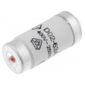 DO2-63; Fuse: fuse; gG,gL; 63A; 400VAC; 250V; industrial; D02; WEBER