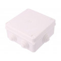 0233-01; Enclosure: junction box; X: 133mm; Y: 133mm; Z: 64mm; wall mount; ELEKTRO-PLAST NASIELSK 0233-01; Enclosure: junction box; X: 133mm; Y: 133mm; Z: 64mm; wall mount; ELEKTRO-PLAST NASIELSK