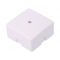 0236-00; Enclosure: junction box; X: 60mm; Y: 60mm; Z: 30mm; polystyrene; IP41; ELEKTRO-PLAST NASIELSK 0236-00; Enclosure: junction box; X: 60mm; Y: 60mm; Z: 30mm; polystyrene; IP41; ELEKTRO-PLAST NASIELSK