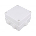 0252-00; Enclosure: junction box; X: 133mm; Y: 133mm; Z: 83mm; polypropylene; ELEKTRO-PLAST NASIELSK 0252-00; Enclosure: junction box; X: 133mm; Y: 133mm; Z: 83mm; polypropylene; ELEKTRO-PLAST NASIELSK