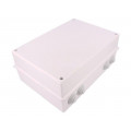 0253-00; Enclosure: junction box; X: 214mm; Y: 303mm; Z: 123mm; ABS; IP55; ELEKTRO-PLAST NASIELSK 0253-00; Enclosure: junction box; X: 214mm; Y: 303mm; Z: 123mm; ABS; IP55; ELEKTRO-PLAST NASIELSK