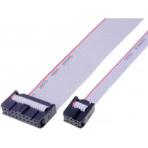 FC10150-0; Ribbon cable with IDC connectors; 10x28AWG; Cable ph: 1.27mm; AMPHENOL