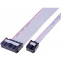 FC10300-0; Ribbon cable with IDC connectors; 10x28AWG; Cable ph: 1.27mm; AMPHENOL