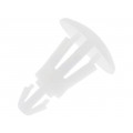 ; Assembly stud; polyamide; L: 6.3mm; snap fastener; Colour: natural; FIX&FASTEN