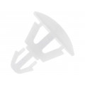 ; Assembly stud; polyamide; L: 3.5mm; snap fastener; Colour: natural; FIX&FASTEN