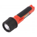 FLUKE FL-120 EX; LED torch; 174x47x47mm; Features: waterproof enclosure; 115g; FLUKE