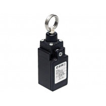 FR 576; Sensor: limit switch; -25÷80°C; IP67; Mat: plastic; Head: ring; 10A; PIZZATO ELETTRICA