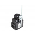 FX 533; Limit switch; adjustable plunger, length R 19-116mm; NO + NC; PIZZATO ELETTRICA
