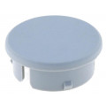 3021101; Cap; polyamide; grey; Application: for G21G knobs; -20÷70°C; RITEL