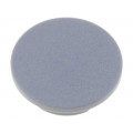 4309.0041; Cap; plastic; grey; push-in; Application: G4310.6131; MENTOR